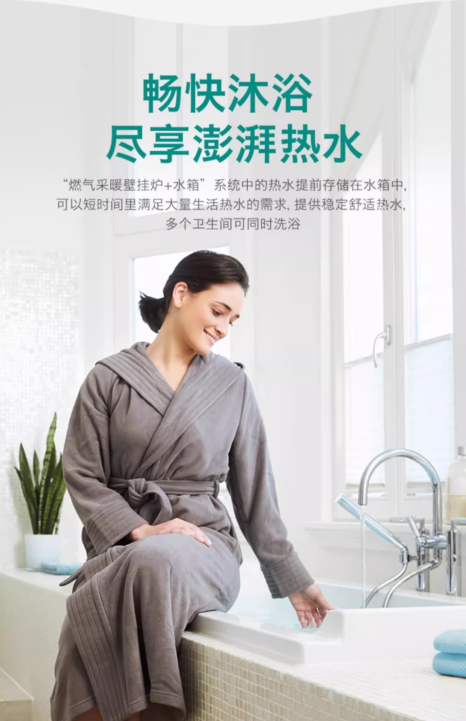 德国威能200升水箱储水罐