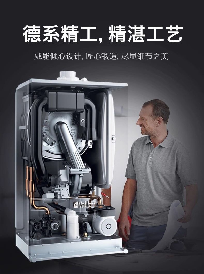 威能Eco Tec pro